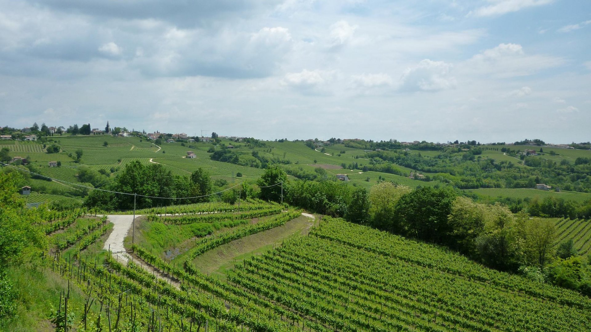 Vigneti Valpolicella